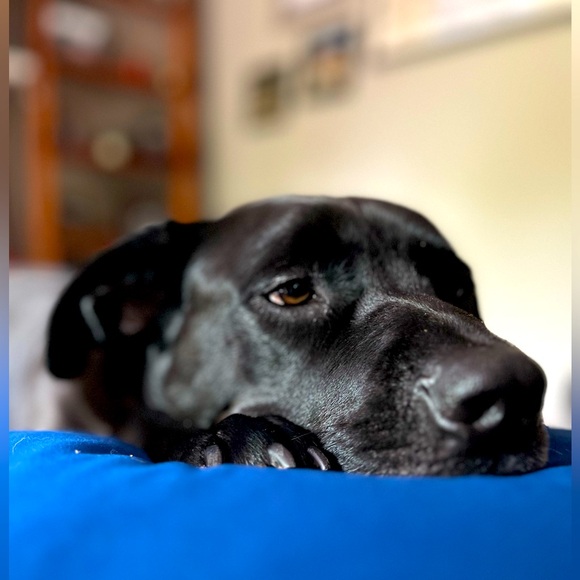 Meet your Posher, Ceren - Picture 1 of 1